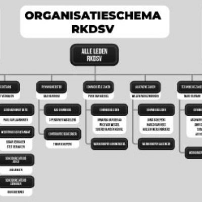 Organisatie